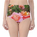 Pink Rose Field Classic High-Waist Bikini Bottoms View1