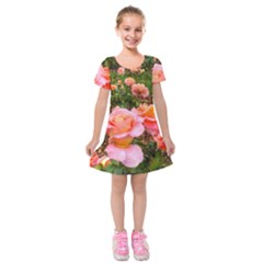 Pink Rose Field Kids  Short Sleeve Velvet Dress