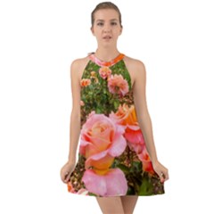 Pink Rose Field Halter Tie Back Chiffon Dress