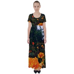 Orange Rose Field High Waist Short Sleeve Maxi Dress by okhismakingart