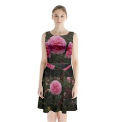 Pink Rose Field Ii Sleeveless Waist Tie Chiffon Dress by okhismakingart