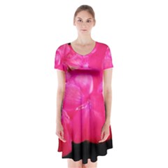 Single Geranium Blossom Short Sleeve V-neck Flare Dress