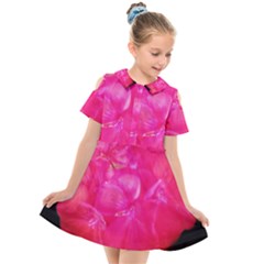 Single Geranium Blossom Kids  Short Sleeve Shirt Dress