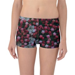 Floral Stars Reversible Boyleg Bikini Bottoms