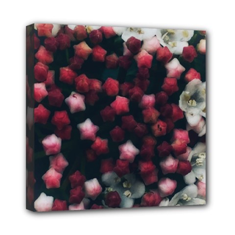Floral Stars -dark Red Mini Canvas 8  X 8  (stretched)