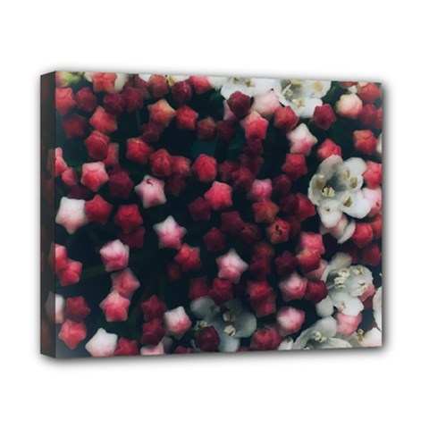 Floral Stars -dark Red Canvas 10  X 8  (stretched)