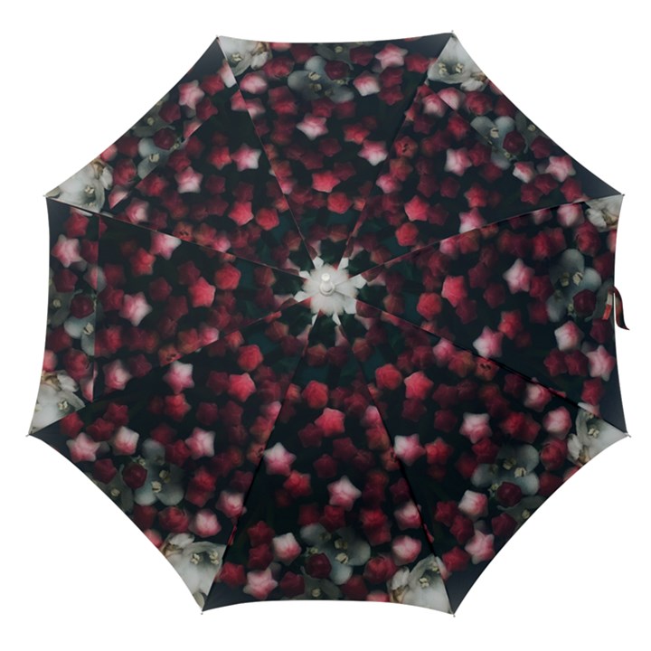 Floral Stars -Dark Red Straight Umbrellas