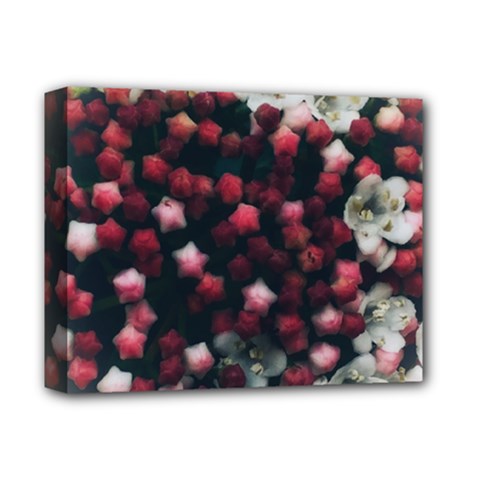 Floral Stars -dark Red Deluxe Canvas 14  X 11  (stretched)