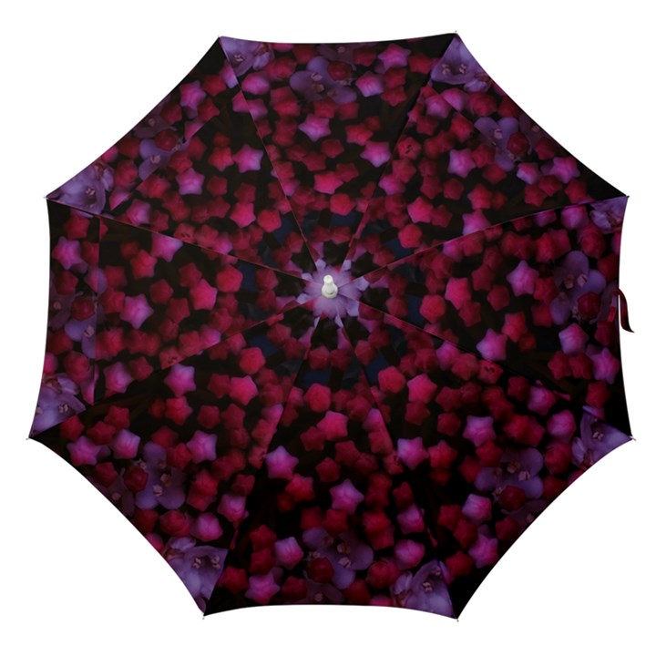 Floral Stars -Purple Straight Umbrellas