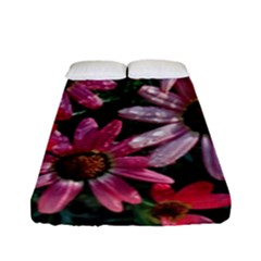 Pink Asters Fitted Sheet (full/ Double Size) by okhismakingart