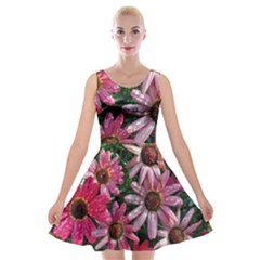 Pink Asters Velvet Skater Dress by okhismakingart