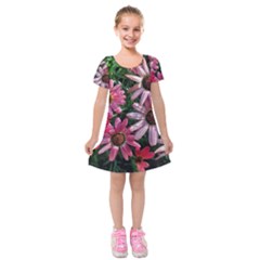 Pink Asters Kids  Short Sleeve Velvet Dress by okhismakingart