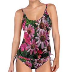 Pink Asters Tankini Set by okhismakingart