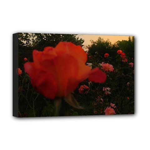 Rose Landscape Deluxe Canvas 18  x 12  (Stretched)