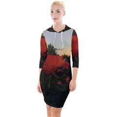 Rose Landscape Quarter Sleeve Hood Bodycon Dress