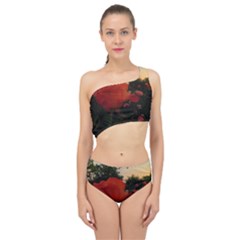 Rose Landscape Spliced Up Two Piece Swimsuit