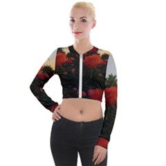 Rose Landscape Long Sleeve Cropped Velvet Jacket