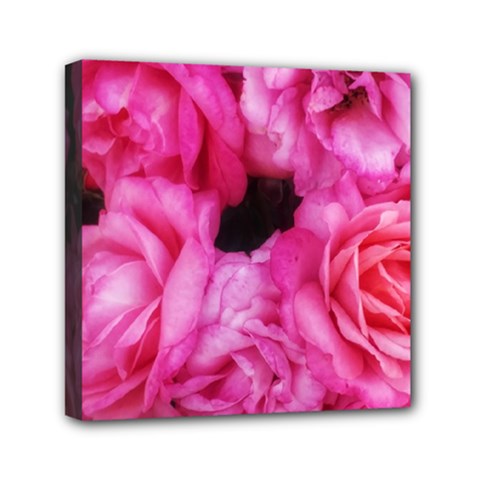 Pink Roses Mini Canvas 6  X 6  (stretched) by okhismakingart