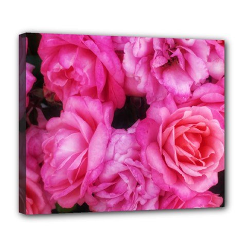 Pink Roses Deluxe Canvas 24  X 20  (stretched) by okhismakingart