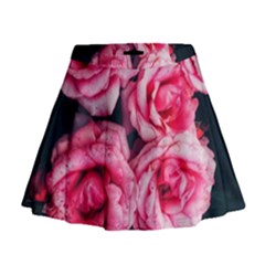 Pink Roses Ii Mini Flare Skirt by okhismakingart