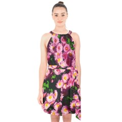 Pink Flower Bushes Halter Collar Waist Tie Chiffon Dress