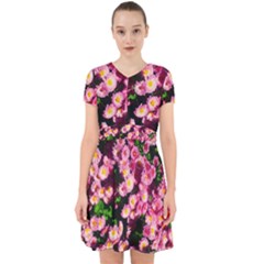 Pink Flower Bushes Adorable In Chiffon Dress