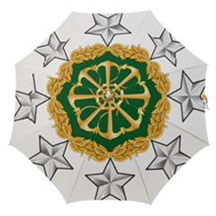 Iranian Navy Amphibious Warfare Badge Straight Umbrellas