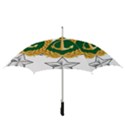 Iranian Navy Amphibious Warfare Badge Straight Umbrellas View3