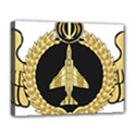 Iranian Air Force F-4 Fighter Pilot Wing Deluxe Canvas 20  x 16  (Stretched) View1