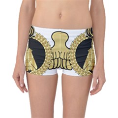 Iranian Air Force F-14 Fighter Pilot Wing Boyleg Bikini Bottoms