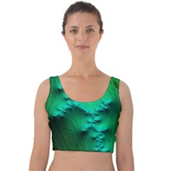 Fractal Maths Design Backdrop Velvet Crop Top by Pakrebo