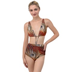 Pattern Background Swinging Design Tied Up Two Piece Swimsuit