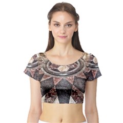 Statehouse Rotunda Floor Short Sleeve Crop Top by Riverwoman