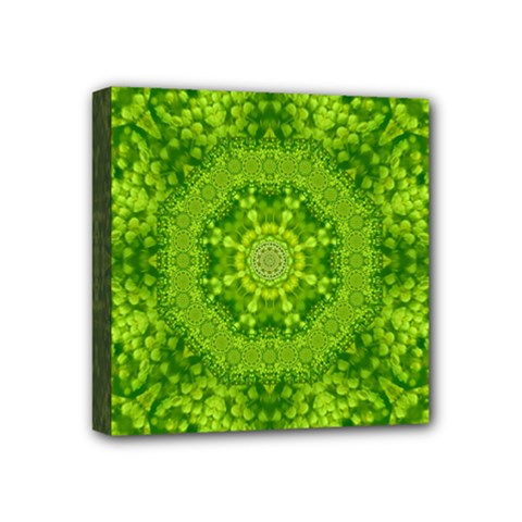 Spring Flower Joy Mini Canvas 4  X 4  (stretched) by pepitasart