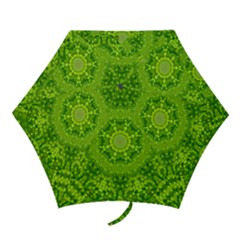 Spring Flower Joy Mini Folding Umbrellas by pepitasart