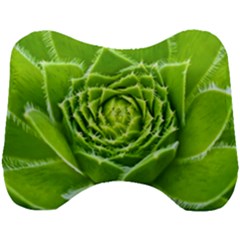 Wurz Houseleek Turmeric Plant Head Support Cushion by Pakrebo