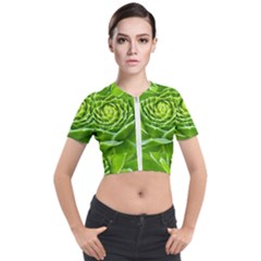 Wurz Houseleek Turmeric Plant Short Sleeve Cropped Jacket