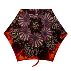 Ornamental Poppies Half Rosette Plant Mini Folding Umbrellas by Pakrebo