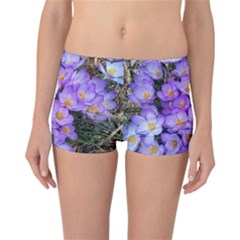 Signs Of Spring Purple Crocua Reversible Boyleg Bikini Bottoms by Riverwoman