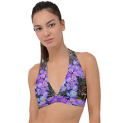 Signs Of Spring Purple Crocua Halter Plunge Bikini Top by Riverwoman