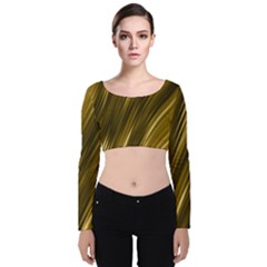 Creative Original Intention Velvet Long Sleeve Crop Top by HermanTelo