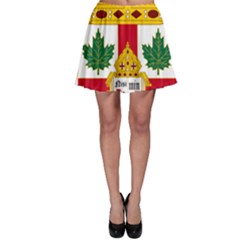 Coat Of Arms Of Anglican Church Of Canada Skater Skirt by abbeyz71