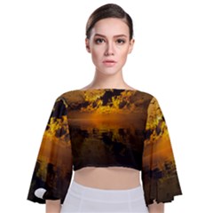 Sunset Reflection Birds Clouds Sky Tie Back Butterfly Sleeve Chiffon Top