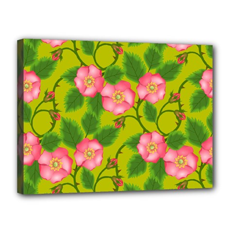 Roses Flowers Pattern Bud Pink Canvas 16  X 12  (stretched) by HermanTelo