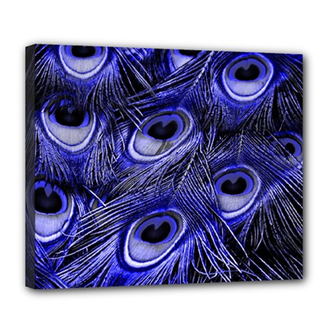 Peacock Feathers Color Plumage Deluxe Canvas 24  X 20  (stretched)