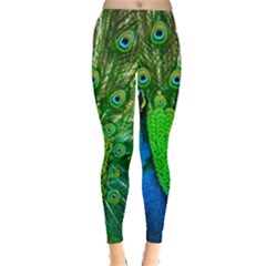 Peacock Peafowl Pattern Plumage Leggings  by Pakrebo