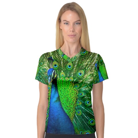 Peacock Peafowl Pattern Plumage V-neck Sport Mesh Tee by Pakrebo