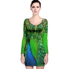 Peacock Peafowl Pattern Plumage Long Sleeve Velvet Bodycon Dress by Pakrebo