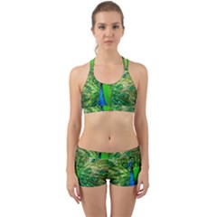 Peacock Peafowl Pattern Plumage Back Web Gym Set by Pakrebo