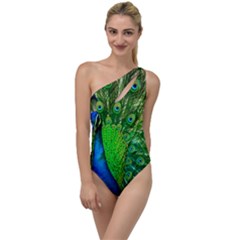 Peacock Peafowl Pattern Plumage To One Side Swimsuit by Pakrebo